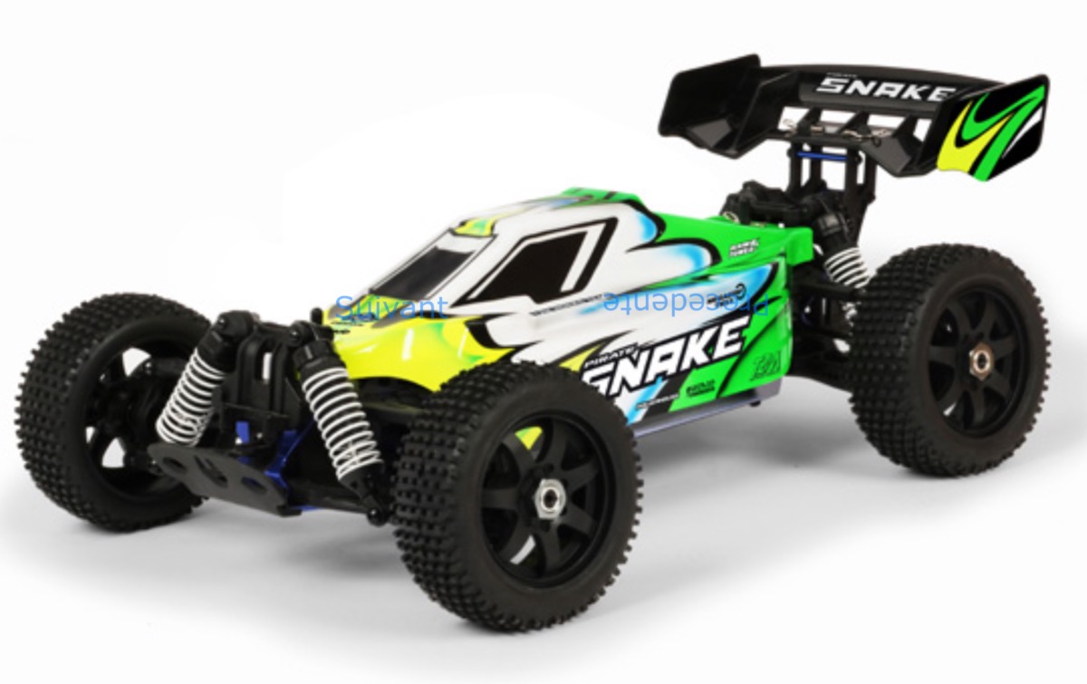 T2M T4969BL PIRATE SNAKE Buggy rc électrique brushless 100% RTR LIPO 5000 mah/Chargeur